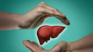 লিভার সুস্থ রাখতে যা করবেন