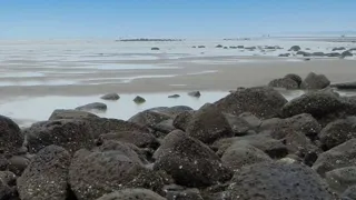 কক্সবাজারের সৈকতে ভেসে এলো ৩ মরদেহ