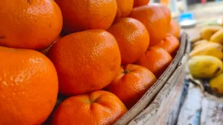 চট্টগ্রামে মাল্টার কেজি ৫২০ টাকা