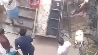 বোয়ালখালীতে আগুনে পুড়ল পাঁচ বসতঘর