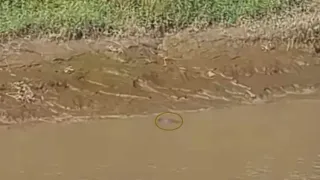 হালদা নদী থেকে অজ্ঞাতপরিচয় ব্যক্তির মরদেহ উদ্ধার