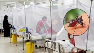 চট্টগ্রামে ডেঙ্গুতে আরও একজনের মৃত্যু, নতুন আক্রান্ত ৯৬