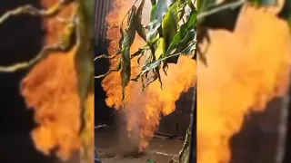 ইনানীতে ভূগর্ভস্থ গ্যাসের আগুন, ঝুঁকি এড়াতে এলাকাজুড়ে ১৪৪ ধারা জারি