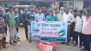বোয়ালখালীতে মা ইলিশ সংরক্ষণ অভিযানে জেলি মেশানো চিংড়ি জব্দ