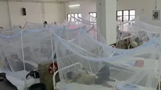 চট্টগ্রামে অক্টোবরে ডেঙ্গু আক্রান্ত ১,৮৭৫, মৃত্যু ১০ জনের