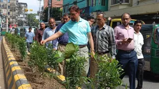 চট্টগ্রামের সড়কদ্বীপে বৃক্ষরোপণ কার্যক্রম পরিদর্শনে মেয়র শাহাদাত
