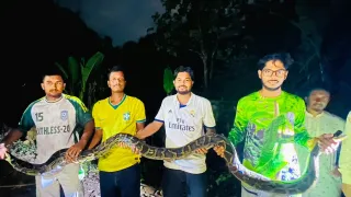 চবিতে ফের ১৪ ফুটের অজগর উদ্ধার